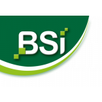 BSI