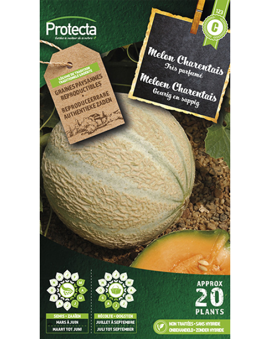 MELOEN CANTELOUP CHARENTAIS