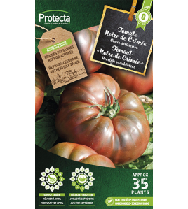 TOMAAT &quot;NOIR DE CRIMEE&quot;