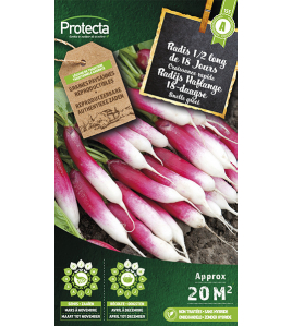 RADIJS HAFLANGE 18-DAAGSE