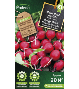 RADIJS RONDE SCHARLAKENRODE