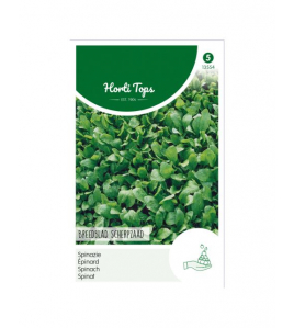SPINAZIE BREEDBLAD SCHERPZAAD ZOMER, 100G