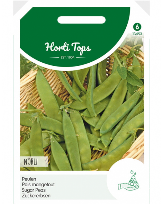 PEULEN NORLI, 100G