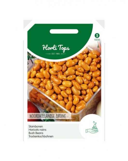 STAMBONEN BRUINE NOORDHOLLANDSE, 100G