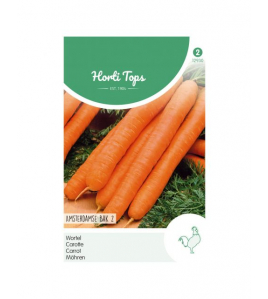 HT WORTELEN AMSTERDAMSE BAK 2