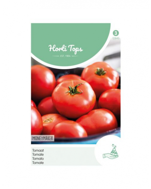 HT TOMATEN MONEYMAKER