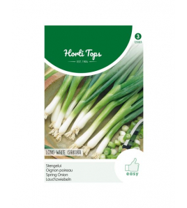 HT STENGELUI KYOTO MARKET (VH ISHIKURA)