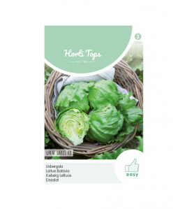 HT KROPSLA HILDE, TYPE ATTRACTIE