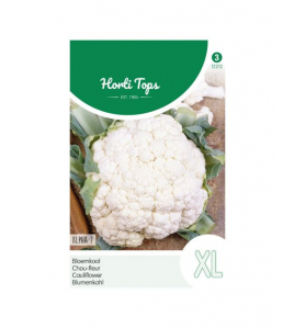 HT BLOEMKOOL ALPHA 7