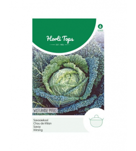 HT SAVOOIEKOOL DONKERGROENE PUTJES