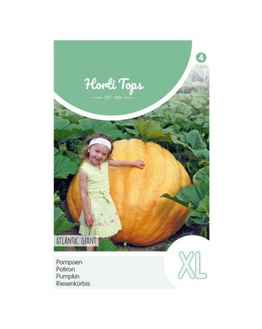 HT POMPOENEN ATLANTIC GIANT