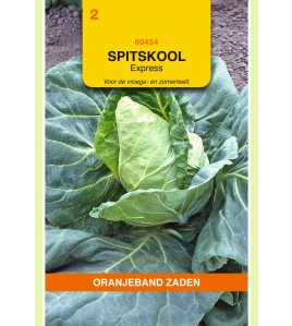 OBZ SPITSKOOL EXPRESS