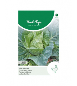 HT WITTEKOOL EXPRESS, VROEGE SPITSE