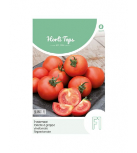 HT TROSTOMATEN SERRAT F1