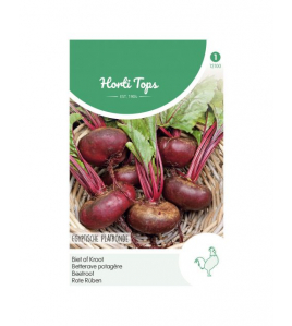 HT BIETEN EGYPTISCHE PLATRONDE