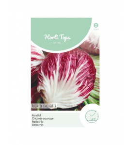 HT RADICCHIO ROSSA DI CHIOGGIA (PALLA ROSSA)