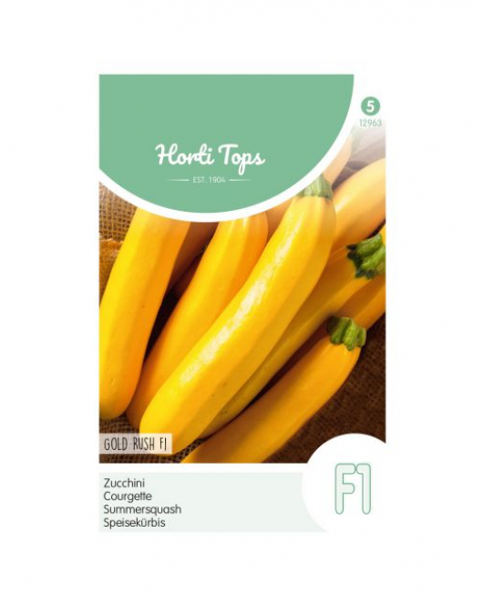 HT COURGETTE GOLD RUSH F1