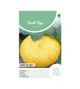 HT POMPOENEN JAUNE DE PARIS (CENTENAAR)