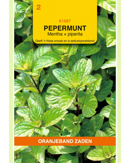 OBZ PEPERMUNT