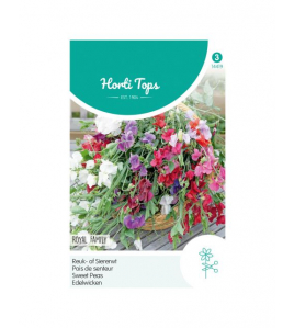 HT LATHYRUS, REUK- OF SIERERWT ROYAL FAMILY GEMENGD HT LATHYRUS, REUK- OF SIERERWT ROYAL FAMILY GEMENGD
