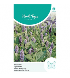 HT AGASTACHE, DROPPLANT (MEXICANA) HT AGASTACHE, DROPPLANT (MEXICANA)