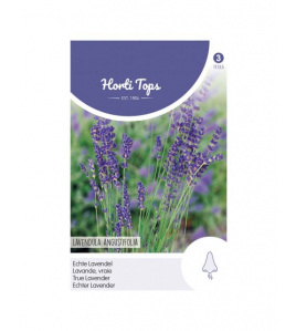 HT LAVENDEL HT LAVENDEL