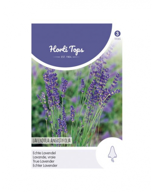 HT LAVENDEL
