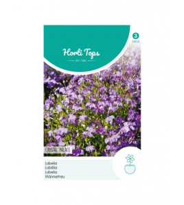HT LOBELIA CRYSTAL PALACE HT LOBELIA CRYSTAL PALACE