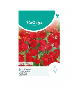 HT LATHYRUS, REUK- OF SIERERWT ROYAL FAMILY ROOD HT LATHYRUS, REUK- OF SIERERWT ROYAL FAMILY ROOD
