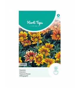 HT GAZANIA SUNSHINE GEMENGD HT GAZANIA SUNSHINE GEMENGD