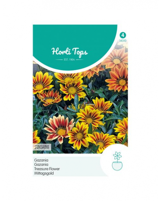 HT GAZANIA SUNSHINE GEMENGD