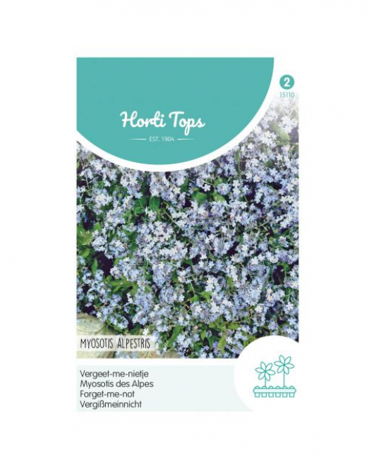 HT MYOSOTIS, VERGEET-ME-NIETJE BLAUW
