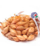 PLANTUIEN STURON 250G