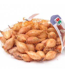 PLANTUIEN STURON 250G