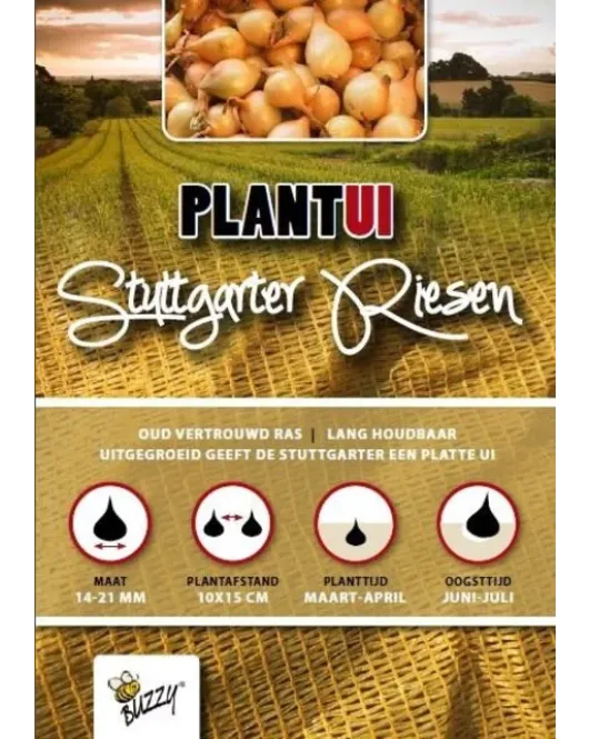 PLANTUIEN STUTTGARTER RIESEN 500G PLANTUIEN STUTTGARTER RIESEN 500G