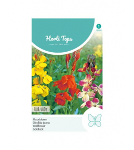 HT CHEIRANTHUS, MUURBLOEM FAIR LADY GEMENGD HT CHEIRANTHUS, MUURBLOEM FAIR LADY GEMENGD