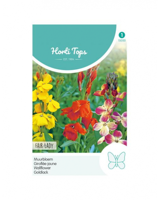 HT CHEIRANTHUS, MUURBLOEM FAIR LADY GEMENGD