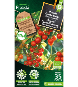 TOMAAT COCKTAIL CHERRY