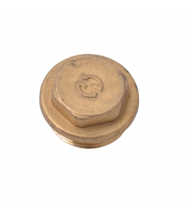 SV DRAAD PLUG 3/4&quot;M