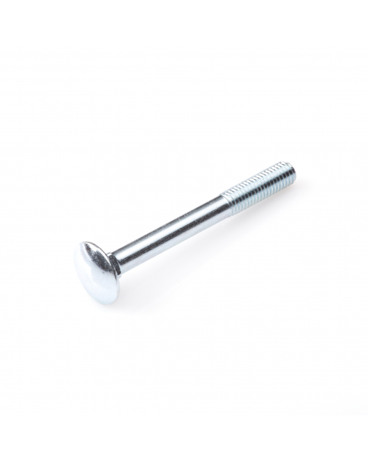 PROFTEC SLOTBOUT+MOER VZ 4.8 DIN603/555 M6X60 (50)