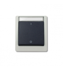 AQUARIUS PRO SCHAKELAAR 2-PLG GR/BL