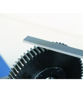 BLOKVIJL ERGO BASTERD HECHT 6