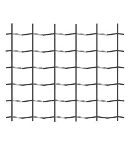 DASSENRASTER CRAPAL 25X50 MM 100 CM X 25 M