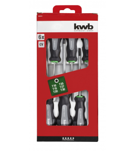 TORX SCHROEVENDR. SET 6-DELIG