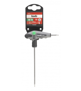 T-GREEP TORXSCHR.DRAAIER T 6