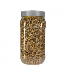 MEELWORMEN VOOR BUITENVOGELS 1 LITER (VOGELFEEST) MEELWORMEN VOOR BUITENVOGELS 1 LITER (VOGELFEEST)