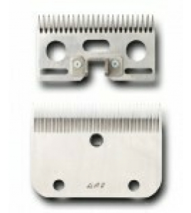 MESSENSET LISTER A2 (24/35TDS)