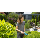 SET COMFORTCUT LI INCLUSIEF BUXUSMES