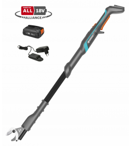 ACCU TAKKENSCHAAR P4A SET