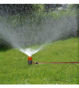 GAZONSPROEIER FOX GAZONSPROEIER FOX